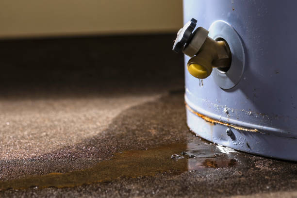 Best Sewage cleanup and water damage restoration  in Country Clu, MO