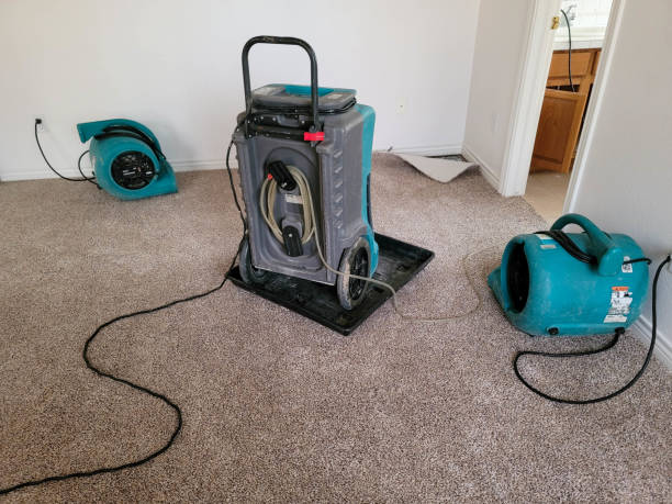 Best Flood damage cleanup  in Country Clu, MO