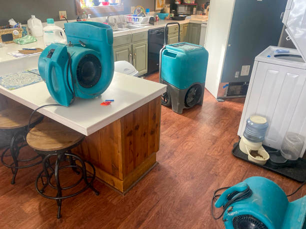 Best Water damage restoration near me  in Country Clu, MO