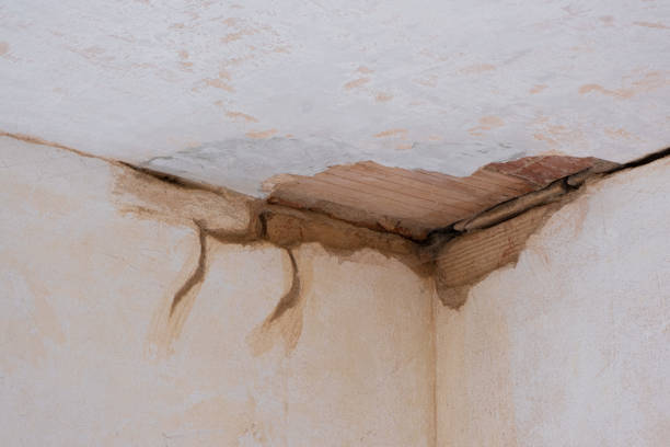 Trusted MO Water damage restoration Experts