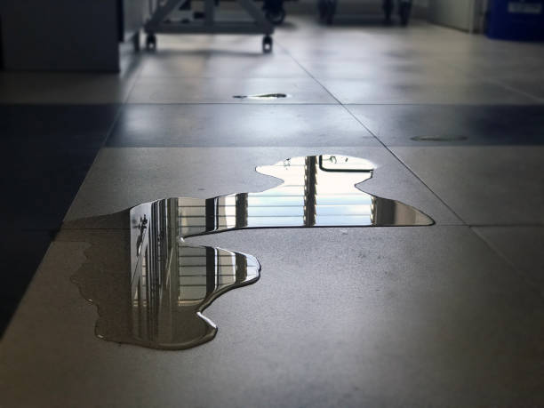 Best Water damage restoration services  in Country Clu, MO