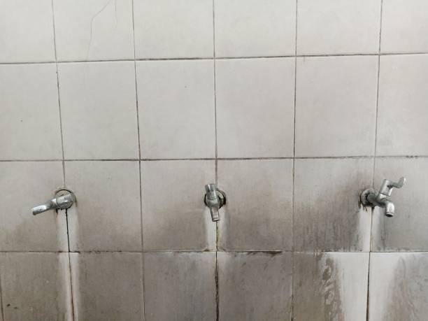 Best Carpet water damage restoration  in Country Clu, MO
