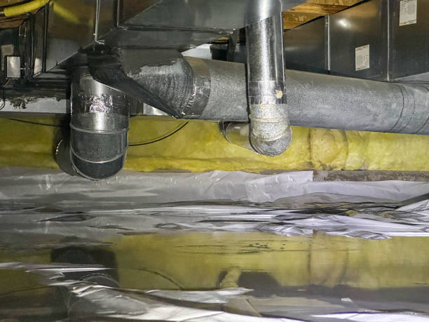 Best Flood damage cleanup  in Country Clu, MO