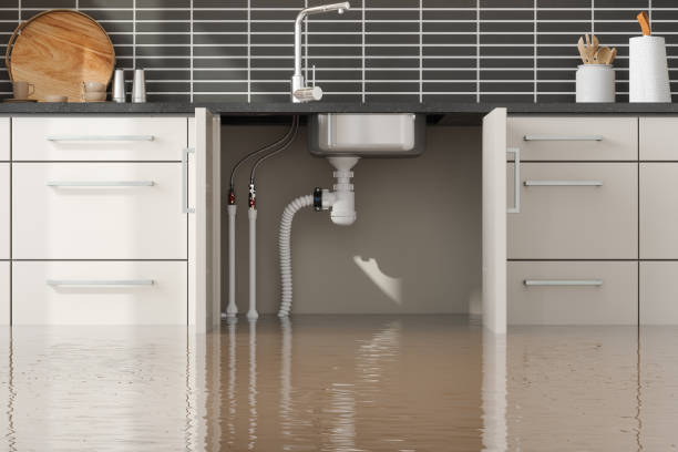 Best Water damage restoration company  in Country Clu, MO