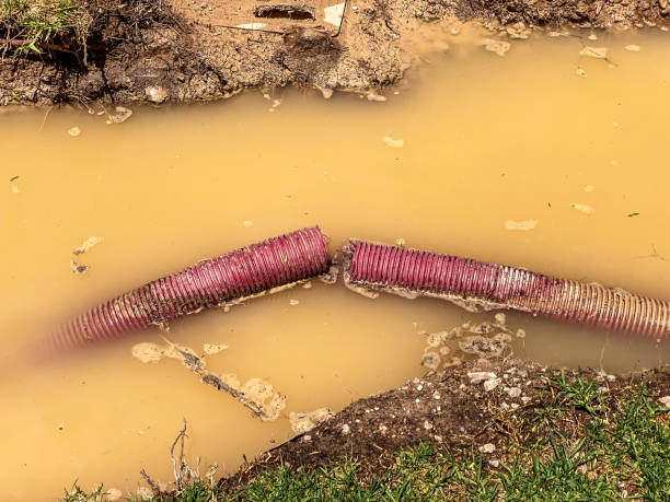 Best Water damage cleanup near me  in Country Clu, MO