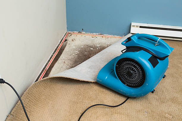 Best Commercial water damage restoration  in Country Clu, MO